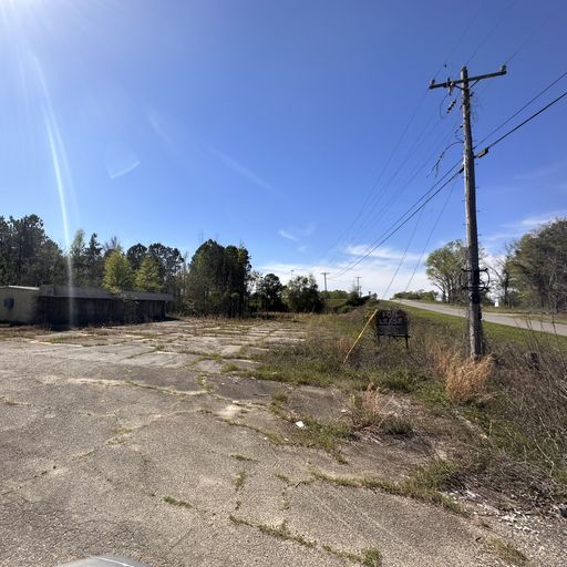 1038 & 1042 Pinehurst Hawkinsville Rd, Unadilla, GA 31070 United States