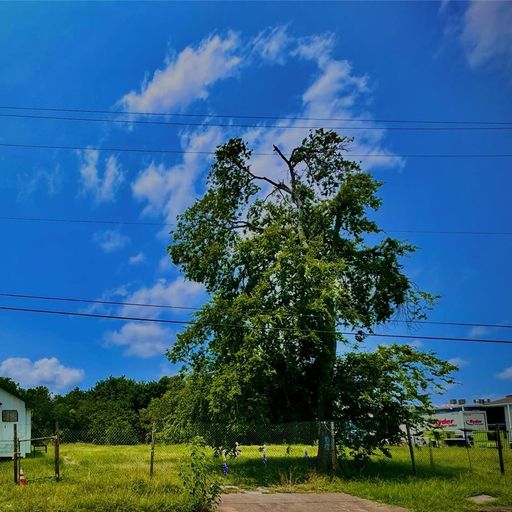 5070 Sunflower Street, Houston, TX 77033 United States | Land - Coldwell Banker Commercial