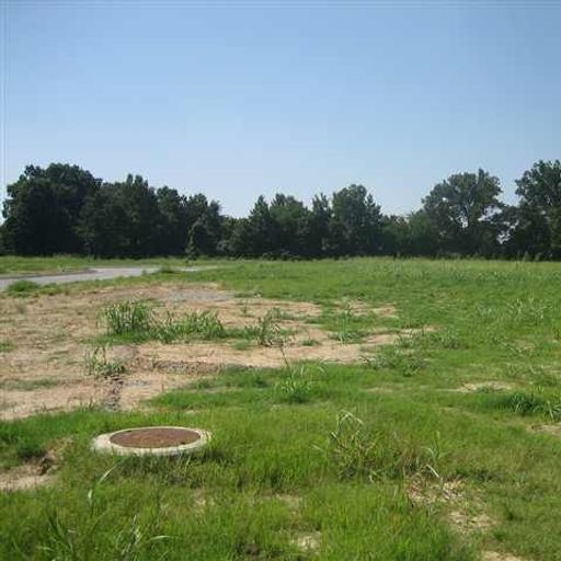 3404 Gateway Cv, Jonesboro, AR 72404 United States Land Coldwell