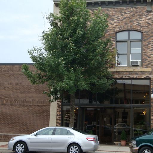 111 North State Street, Waseca, MN 56093 United States Office