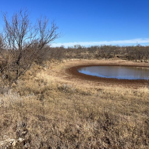 North Bryan Ranch, Wellington, TX 79095 United States Land Coldwell